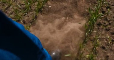 Yeşil ve sarı bokeh arka plan ile verimli topraklarda büyüyen çiftçi ve besleyici ağaç elleri. Genç bir adam (adam), çalışan üniformalı bir çiftçi, lastik çizmeler bir alanda yürüyor. Kavramı: Özgürlük, Kauçuk çizmeler, Yaşam Tarzı, Çiftçi.