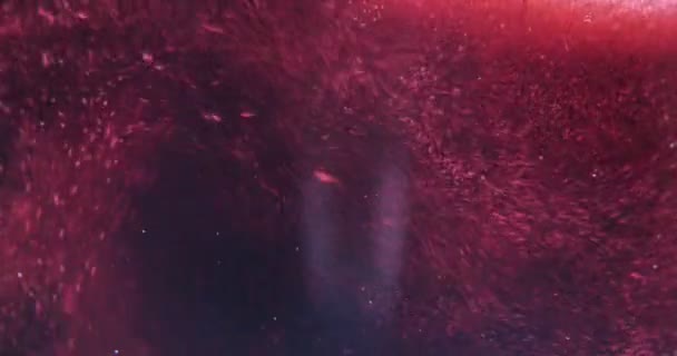 Expériences sur Différentes réactions de bulles dans l'huile, Différentes couleurs de bulles. Concept de : Couleurs, Rouge, Jaune, Blanc, Bleu, Vert, Différentes tailles, Différentes bulles, Très proche .