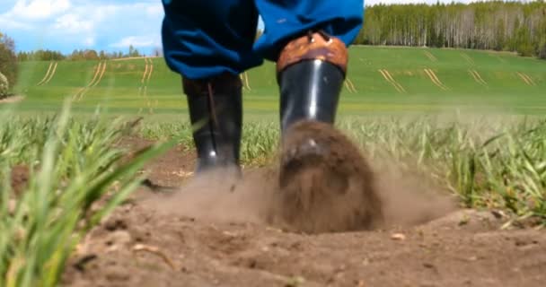 Manos Agricultor Cultivando Cultivando Árboles Que Crecen Suelo Fértil Con — Vídeos de Stock