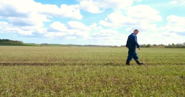 Yeşil Sarı Bokeh Arka Plan Ile Verimli Topraklarda Büyüyen Çiftçi — Stok video