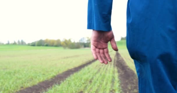 农民的手生长和培育树生长在肥沃的土壤与绿色和黄色的散景背景 一个年轻人 一个穿着工作服的农民 穿着橡胶靴穿过田野 橡胶靴 生活方式 — 图库视频影像