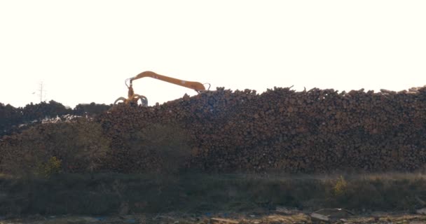 Industrial Sawmill Log Loader Overloads Unloads Logs Mountain Wagon Concept — Stock Video