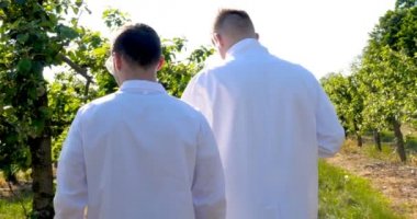 İki genç Ziraat veya elma ağacı üzerinde çalışan bir biyolog, bir defter, beyaz ceket, lastik eldiven, dna, Gözlük, yaprak testler, bir arka plan, Doğa ve Yeşiller testleri yazmak.