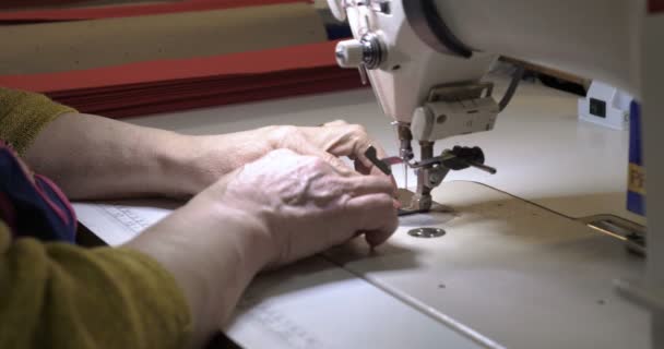 Machine Broder Automatique Une Seule Aiguille Machine Coudre Par Ordinateur — Video