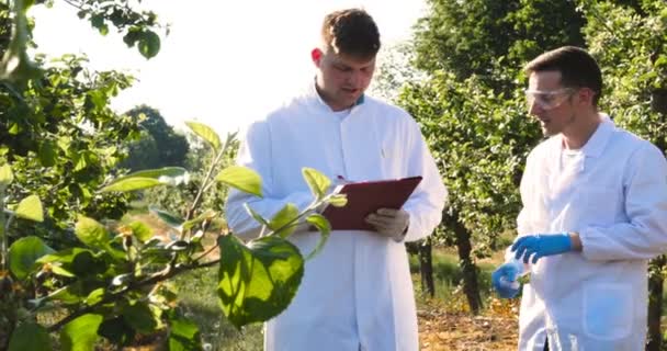 Twee Jonge Landbouwdeskundigen Een Bioloog Bezig Met Appelboom Schrijven Proeven — Stockvideo