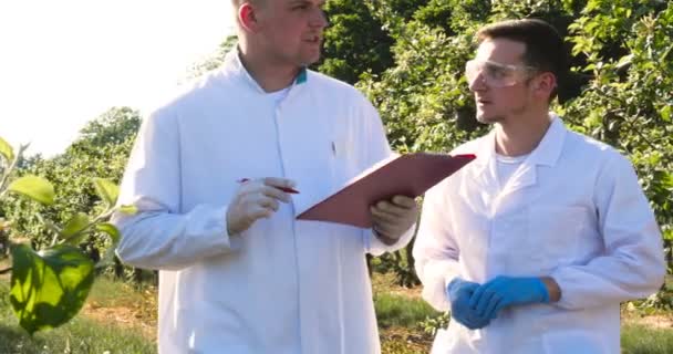 两个年轻的农学家或生物学家 在苹果树上工作 写测试在笔记本 白色大衣 橡胶手套 Dna 护目镜 树叶测试 自然和绿色的背景 — 图库视频影像