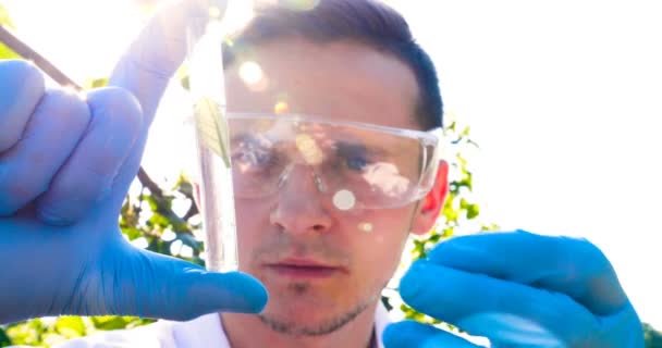 Jovem Biólogo Agrônomo Bonito Masculino Faz Análises Folhas Umidade Dna — Vídeo de Stock