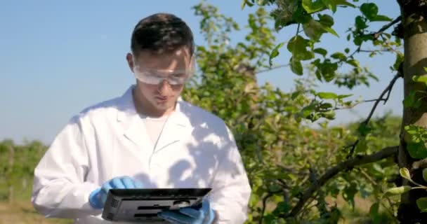 Jovem Biólogo Agrônomo Bonito Masculino Faz Análises Folhas Umidade Dna — Vídeo de Stock