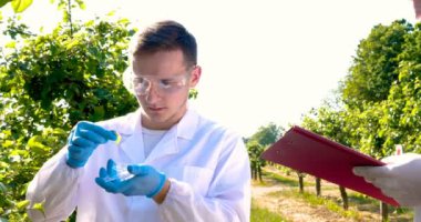 İki genç Ziraat veya elma ağacı üzerinde çalışan bir biyolog, bir defter, beyaz ceket, lastik eldiven, dna, Gözlük, yaprak testler, bir arka plan, Doğa ve Yeşiller testleri yazmak.