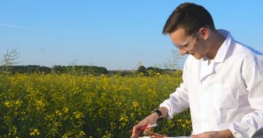 Genç yakışıklı (erkek) biyolog veya agronomist, beyaz bir ceket, gözlük, mavi lastik eldiven, elma ağacı boyunca yürür nem yaprakları, DNA, pipet, analizleri alır. Yakışıklı biyolog veya beyaz tıbbi giysiler, güvenlik gözlükleri içinde agronomist.