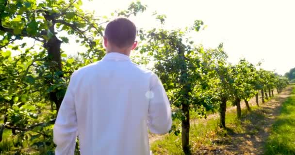 若いハンサムな 生物学者またはアグロノミストは 白いコート ゴーグル 青いゴム手袋で 水分の葉 Dna ピペットの分析を取り リンゴの木を横切って歩きます 白い医療服 — ストック動画