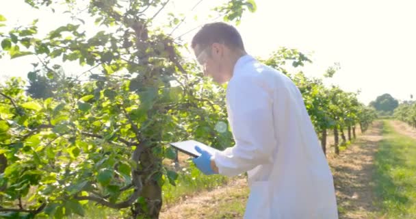 Young Handsome Male Biologist Agronomist Takes Analyzes Moisture Leaves Dna — Stock Video
