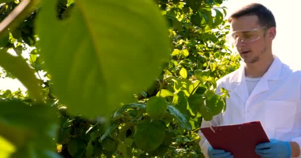 Ung Stilig Manlig Biolog Eller Agronomist Tar Analyser Fukt Blad — Stockvideo