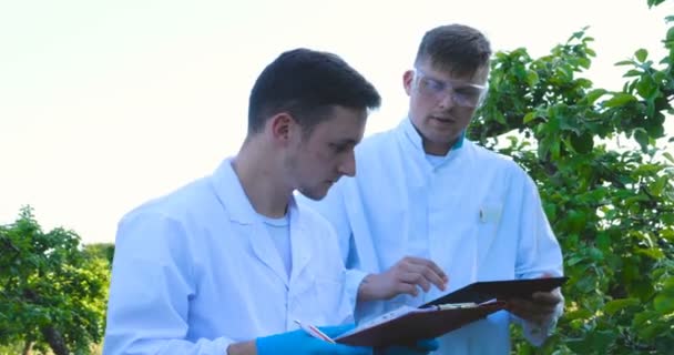 Dos Jóvenes Agrónomos Biólogo Trabajando Manzano Escriben Pruebas Cuaderno Batas — Vídeo de stock