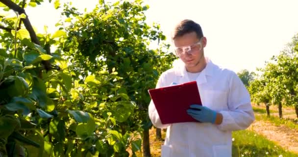 Jovem Biólogo Agrônomo Bonito Masculino Faz Análises Folhas Umidade Dna — Vídeo de Stock