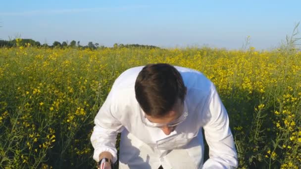 Joven Guapo Hombre Biólogo Agrónomo Toma Análisis Hojas Humedad Adn — Vídeos de Stock