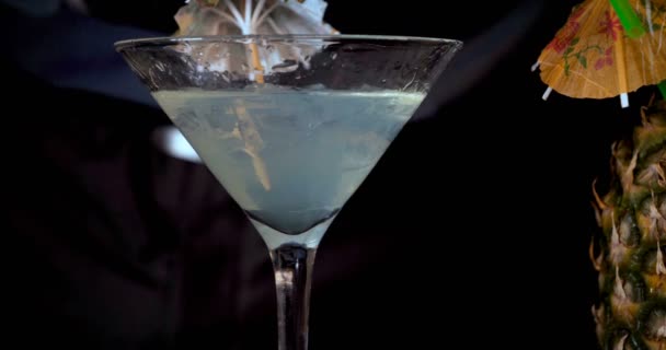 Barman Barman Prépare Diverses Boissons Cocktails Pour Une Fête Dans — Video