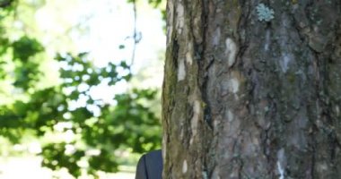 Genç yakışıklı adam (adam) işadamı ayakta (oturan) bir takım elbiseli bir ağacın yanında. Elinde siyah bir çantayla merdivenleri tırmanıyor. Konsept: iş, takım elbise, adam, adam, çanta, işadamı.