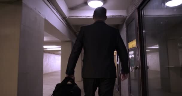 사업가 양복에 나무에 가방으로 계단을 비즈니스 사업가 — 비디오