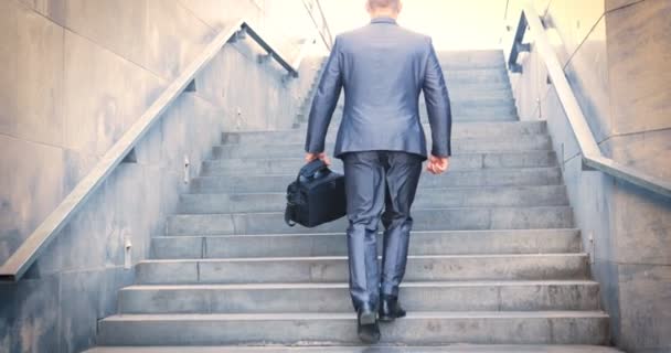 スーツを着て木のそばに立っている若いハンサムな男 ビジネスマン 黒いバッグを手に階段を登る コンセプト ビジネス スーツ バッグ ビジネスマン — ストック動画