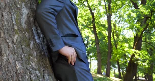 Junger Gutaussehender Typ Mann Geschäftsmann Der Sitzend Anzug Einem Baum — Stockvideo