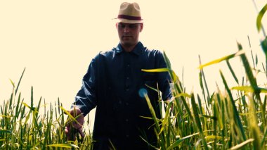 Genç bir adam portresi (adam) bir çalışma üniforması ve buğday ve saman etrafında bir alanın ortasında bir hasır şapka, etrafında çalışan ve olgunluk için buğday kontrol, bir gömlek ve hasır şapka ısı alanı temiz hava solur ve özgür hissediyor. Con