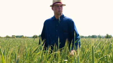 Genç bir adam portresi (adam) bir çalışma üniforması ve buğday ve saman etrafında bir alanın ortasında bir hasır şapka, etrafında çalışan ve olgunluk için buğday kontrol, bir gömlek ve hasır şapka ısı alanı temiz hava solur ve özgür hissediyor. Con