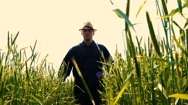 Genç bir adam portresi (adam) bir çalışma üniforması ve buğday ve saman etrafında bir alanın ortasında bir hasır şapka, etrafında çalışan ve olgunluk için buğday kontrol, bir gömlek ve hasır şapka ısı alanı temiz hava solur ve özgür hissediyor. Con