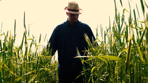 Ritratto Ragazzo Uomo Uniforme Lavoro Cappello Paglia Mezzo Campo Intorno — Foto Stock