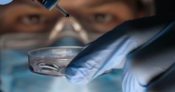 Laboratory Worker Scientist Laboratory Assistant Tests Chemicals Reactions Test Tubes — Stock Video