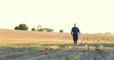 Yeşil ve sarı bokeh arka plan ile verimli topraklarda büyüyen çiftçi ve besleyici ağaç elleri. Genç bir adam (adam), çalışan üniformalı bir çiftçi, lastik çizmeler bir alanda yürüyor. Kavramı: Özgürlük, Kauçuk çizmeler, Yaşam Tarzı, Çiftçi.