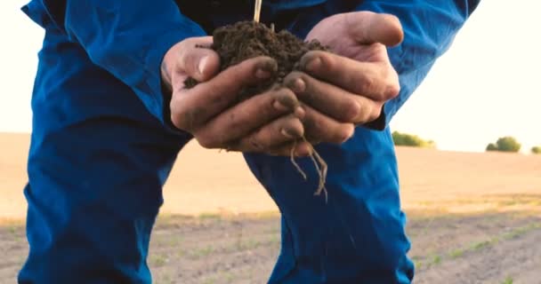 Handen Van Boer Kweken Voeden Boom Groeien Vruchtbare Grond Met — Stockvideo