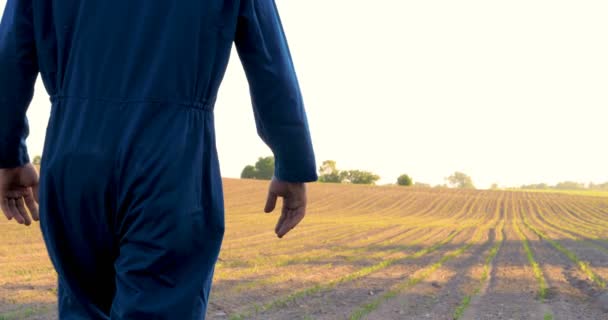 农民的手生长和培育树生长在肥沃的土壤与绿色和黄色的散景背景 一个年轻人 一个穿着工作服的农民 穿着橡胶靴穿过田野 橡胶靴 生活方式 — 图库视频影像