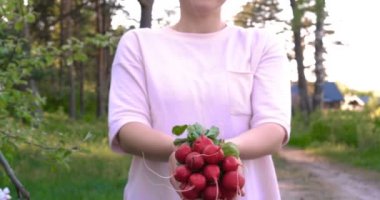 İyi hasat zevk ile taze yeşil olgun soğan patates, elinde tahta kutuya tutan bahçede çalışan çiftçi kadın