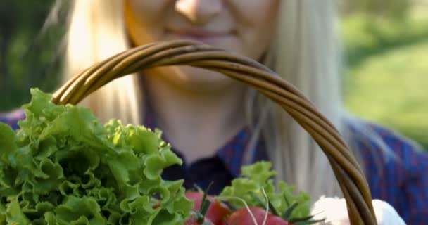 Farmer Dolgozik Kertben Tartja Kezében Fából Készült Doboz Friss Zöld — Stock videók