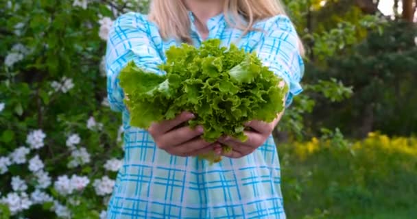 Femme Agricultrice Travaillant Dans Jardin Tenant Dans Ses Mains Une — Video