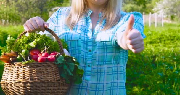 Farmář Žena Pracující Zahradě Drží Ruce Dřevěný Box Čerstvým Zeleným — Stock video