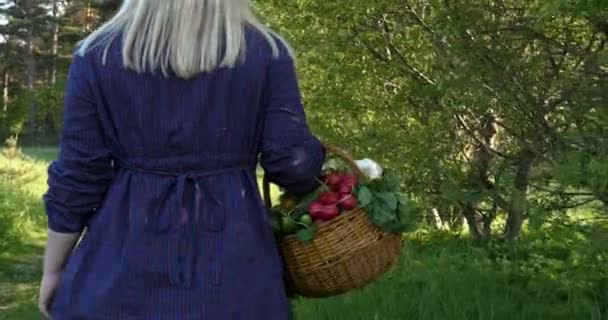 Farmer Dolgozik Kertben Tartja Kezében Fából Készült Doboz Friss Zöld — Stock videók