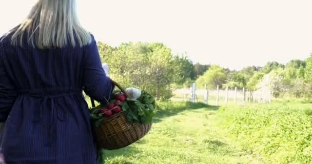 Boer Vrouw Die Werkt Tuin Bedrijf Handen Houten Doos Met — Stockvideo