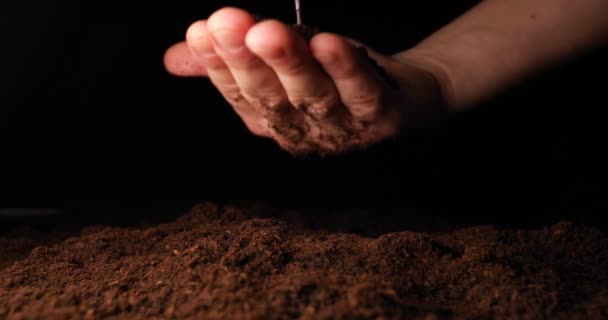 Een Nieuw Leven Een Man Houdt Zijn Hand Een Spruit — Stockvideo