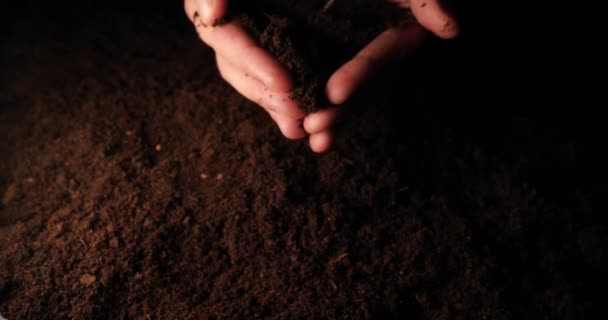 Een Nieuw Leven Een Man Houdt Zijn Hand Een Spruit — Stockvideo