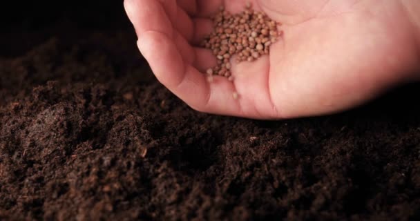 Een Nieuw Leven Een Man Houdt Zijn Hand Een Spruit — Stockvideo