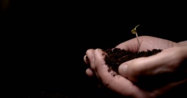 Yeni bir hayat, bir adam elinde yapraklar, damla, siyah arka plan ile ıslak yaprakları ile bir filiz tutar.