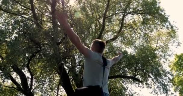 Mann Mit Tablet Computer Unter Einem Baum Park Neben Dem — Stockvideo