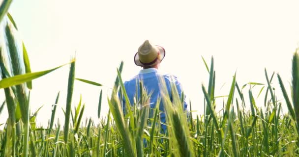A young guy (man), a farmer in a working uniform, stands in a field and inhales deeply, feeling freedom on a sunny day. Concept of: Freedom, Breathing, Lifestyle, Farmer, Heaven, Slow Motion, Fields.
