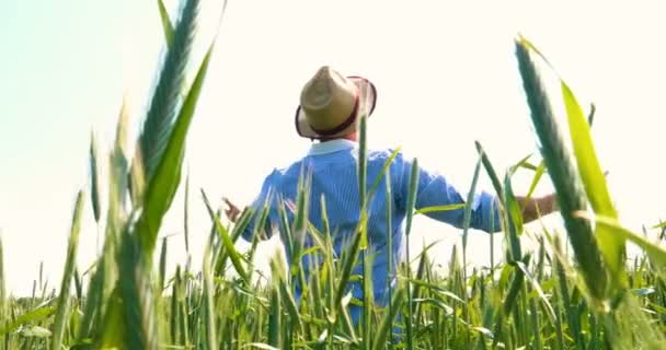 Mladík (muž), farmář v pracovní uniformě, stojí v terénu a zhluboka vdechuje a za slunečného dne cítí svobodu. Koncepce: Svoboda, dýchání, životní styl, farmář, nebe, pomalý pohyb, pole.
