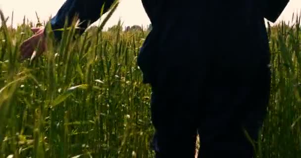 Contadino Prende Campionatore Grano Tenendo Una Mano Campo Grano Accarezzando — Video Stock