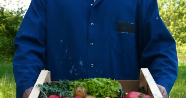 Agricultor Vendendo Seus Produtos Orgânicos Dia Ensolarado Agricultor Dando Caixa — Vídeo de Stock