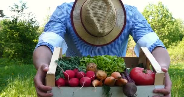 Agricultor Vendiendo Sus Productos Orgánicos Día Soleado Agricultor Dando Caja — Vídeo de stock