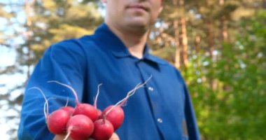 Portre adam bir hasır şapka çiftçi, bornozu (gömlek) toprak yetiştirme kirli (temiz) eller yükseltir ve ellerde turp gösterir. Kavramı: çiftçi, Slow Motion, Bio ürün.